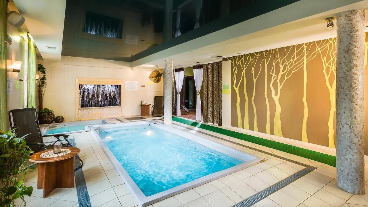 Hotel City Sm Business & Spa Krasków